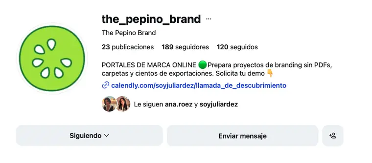 Perfil de Instagram de The Pepino Brand