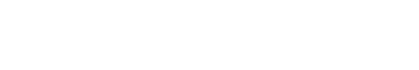 Ducktoy